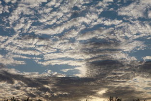 故 鄉(xiāng) 的 云專輯 三江源t